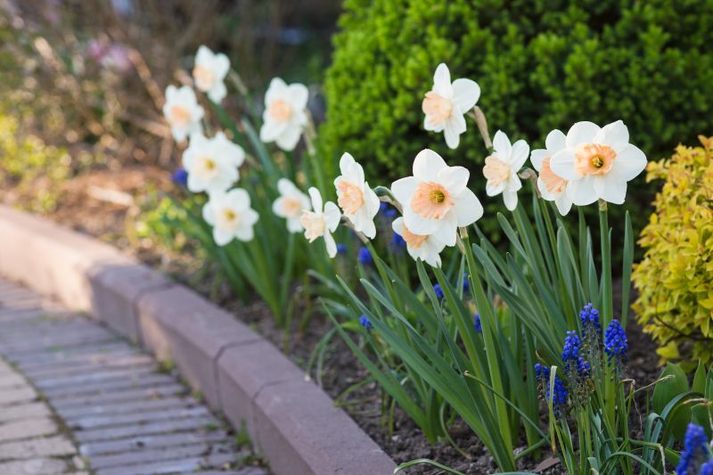 Paver Surface with Edging
